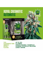 iGrowCan Automatic - Royal Creamatic