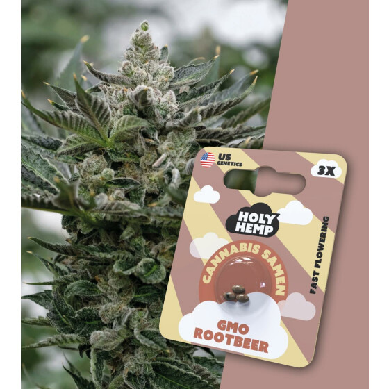 Holy Hemp - GMO Rootbeer Fast Flowering (photoperiodisch) - Cannabis Samen