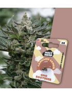 Holy Hemp - GMO Rootbeer Fast Flowering (photoperiodisch) - Cannabis Samen