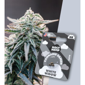 Holy Hemp - White Widow Auto Flowering - Cannabis Samen