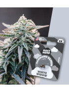 Holy Hemp - White Widow Auto Flowering - Cannabis Samen