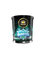 Holster - Booster - 200g - 27,90&euro; - T&amp;T